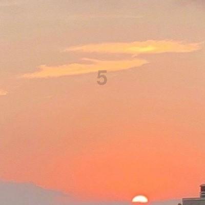 猫突然不吃东西没精神?公认恢复精神最佳的生骨肉冻干分享